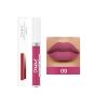 Balsam Buze Lip Gloss Matte Watterproof 09