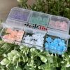 Decor Unghii NailsUp Cristale Floricele Colorate