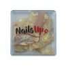 Decor Unghii NailsUp Scoici Nail Art