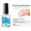 Nail Prep Dehydrator Born Pretty 15ml