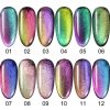 Oja Semipermanenta CANNI 9D Cat Eyes 7.3ml cod 10