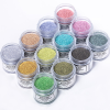 Shiny Dipping Powder Rosalind 10g D162